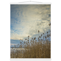 7e263346-1aef-4850-90ba-4b0ccc1b32dc