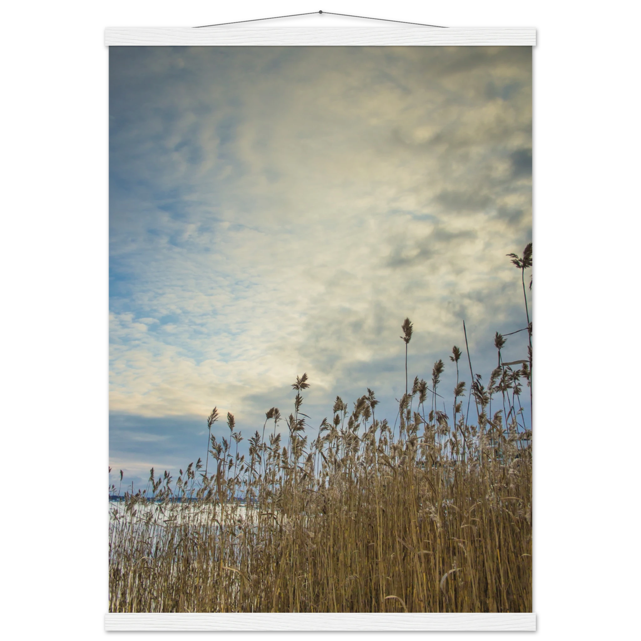 7e263346-1aef-4850-90ba-4b0ccc1b32dc