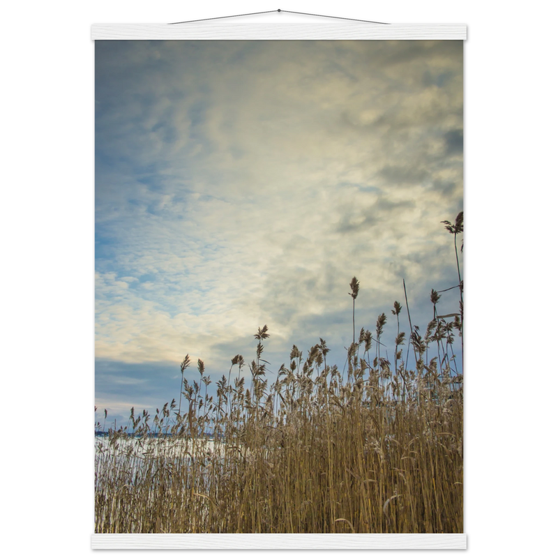 7e263346-1aef-4850-90ba-4b0ccc1b32dc