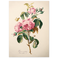 7fa02a50-cc8c-4b2b-9ade-1f679adac0a6