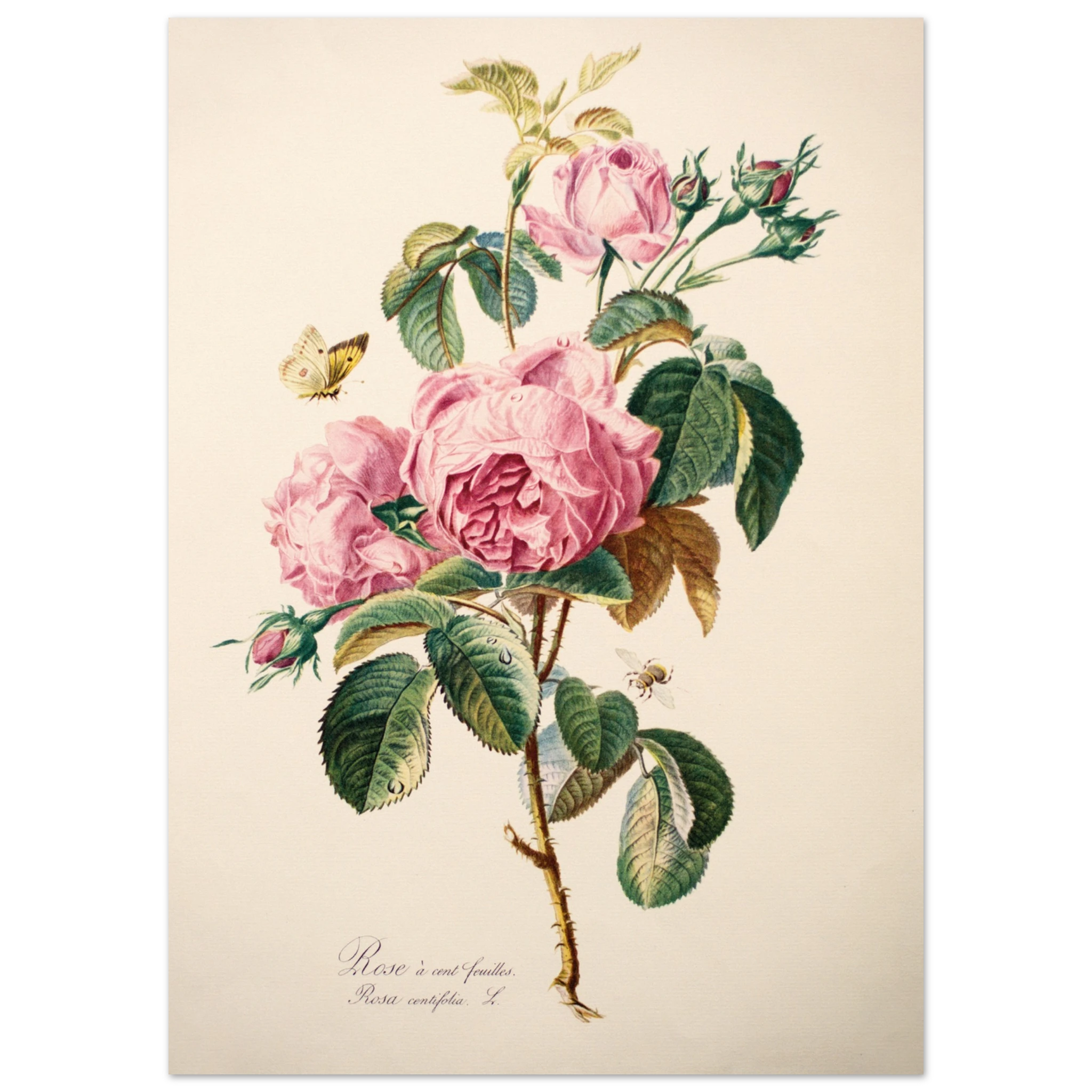 7fa02a50-cc8c-4b2b-9ade-1f679adac0a6