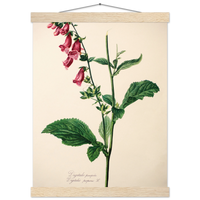 7fa8d1dc-f6a1-4d1a-a76b-be47182b6678