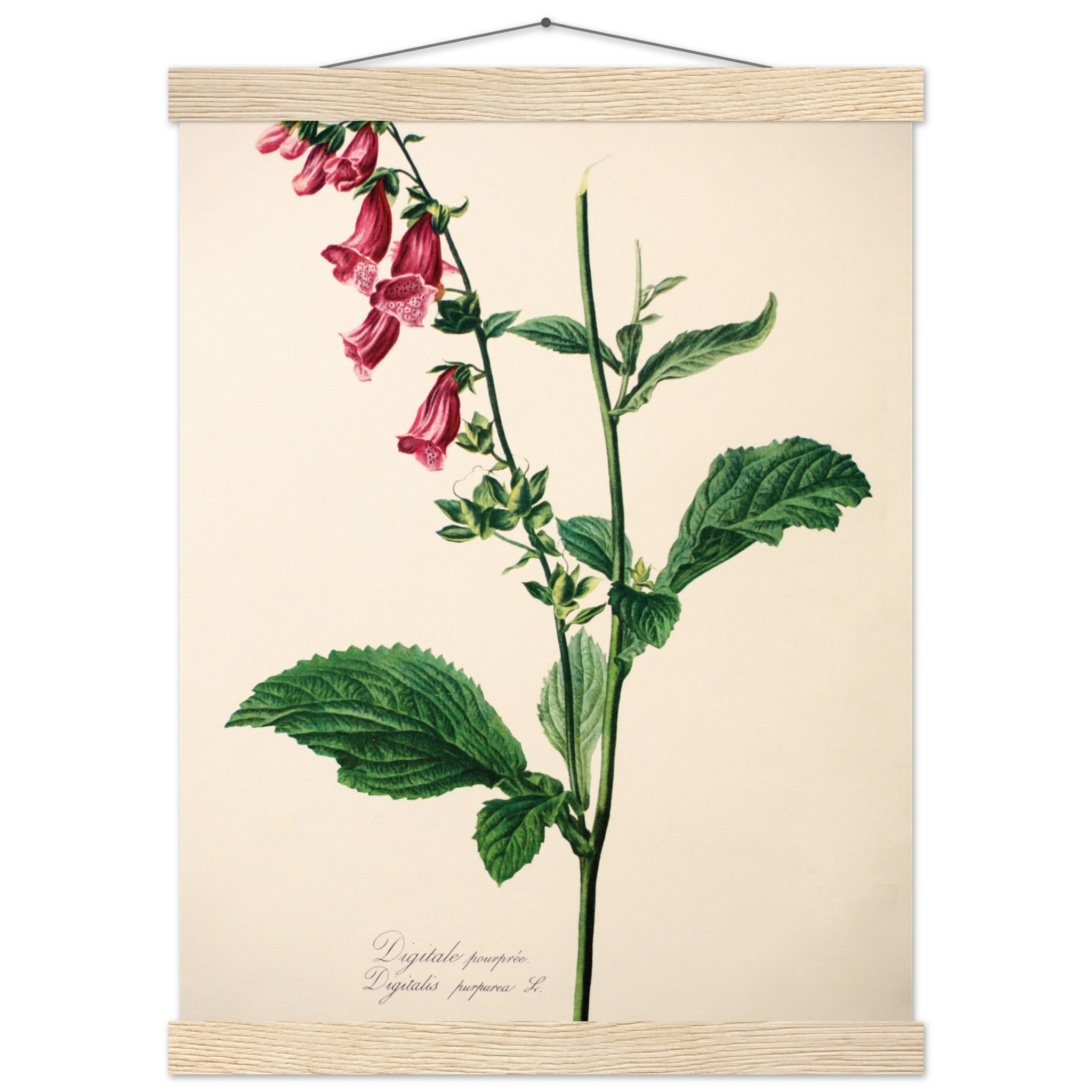 7fa8d1dc-f6a1-4d1a-a76b-be47182b6678