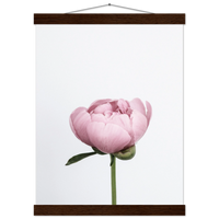 8000d8b6-4e75-4f12-8c74-84f2b9071246