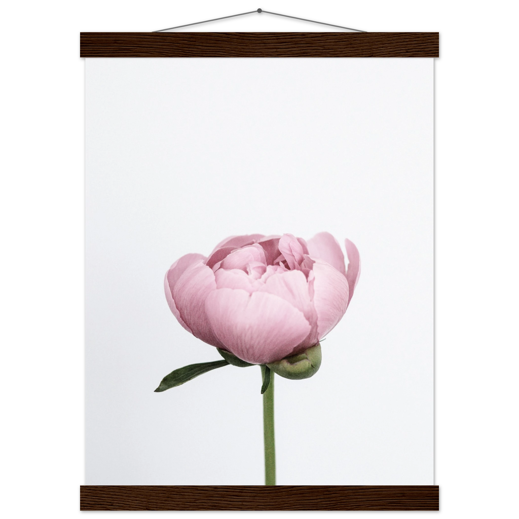 8000d8b6-4e75-4f12-8c74-84f2b9071246