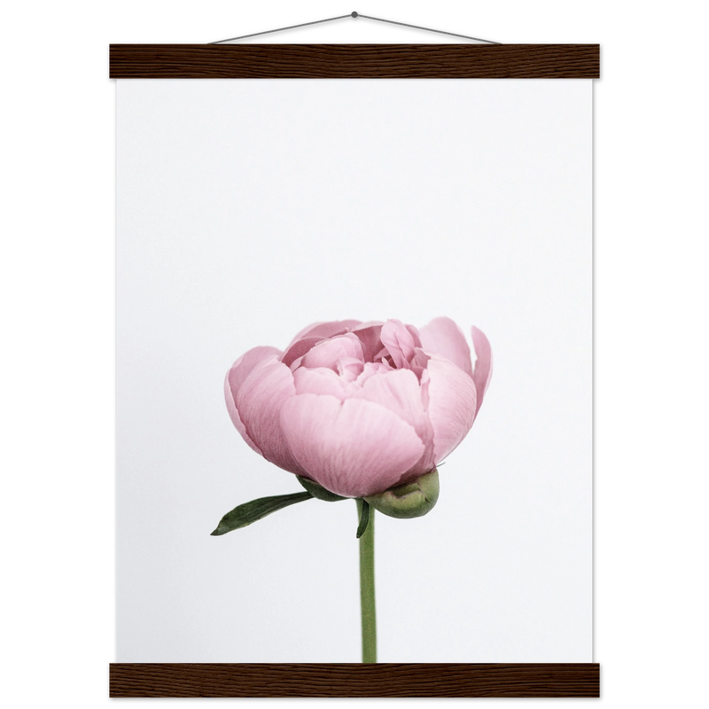 8000d8b6-4e75-4f12-8c74-84f2b9071246