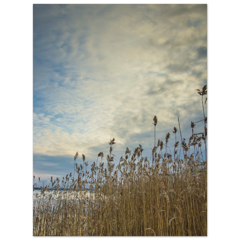 81632778-f96b-4f6e-b7ac-ade183fd6d31