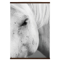 8186234a-7204-4e1d-bb24-7a873a3c2277