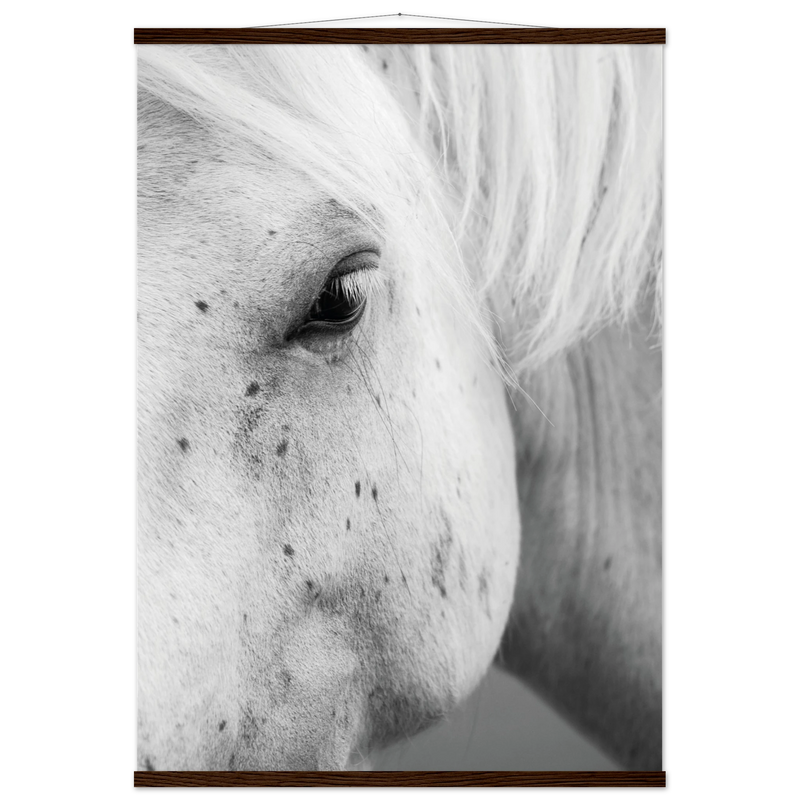 8186234a-7204-4e1d-bb24-7a873a3c2277