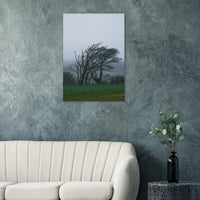 826aac8e-badc-425b-a836-e039447a7525