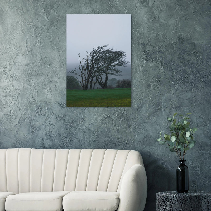 826aac8e-badc-425b-a836-e039447a7525