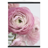 866f9bd9-8173-4743-818d-aff52825c5c5