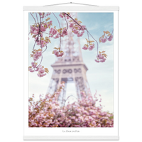 86e36b71-84fa-4892-8193-45b82d3c9c2d