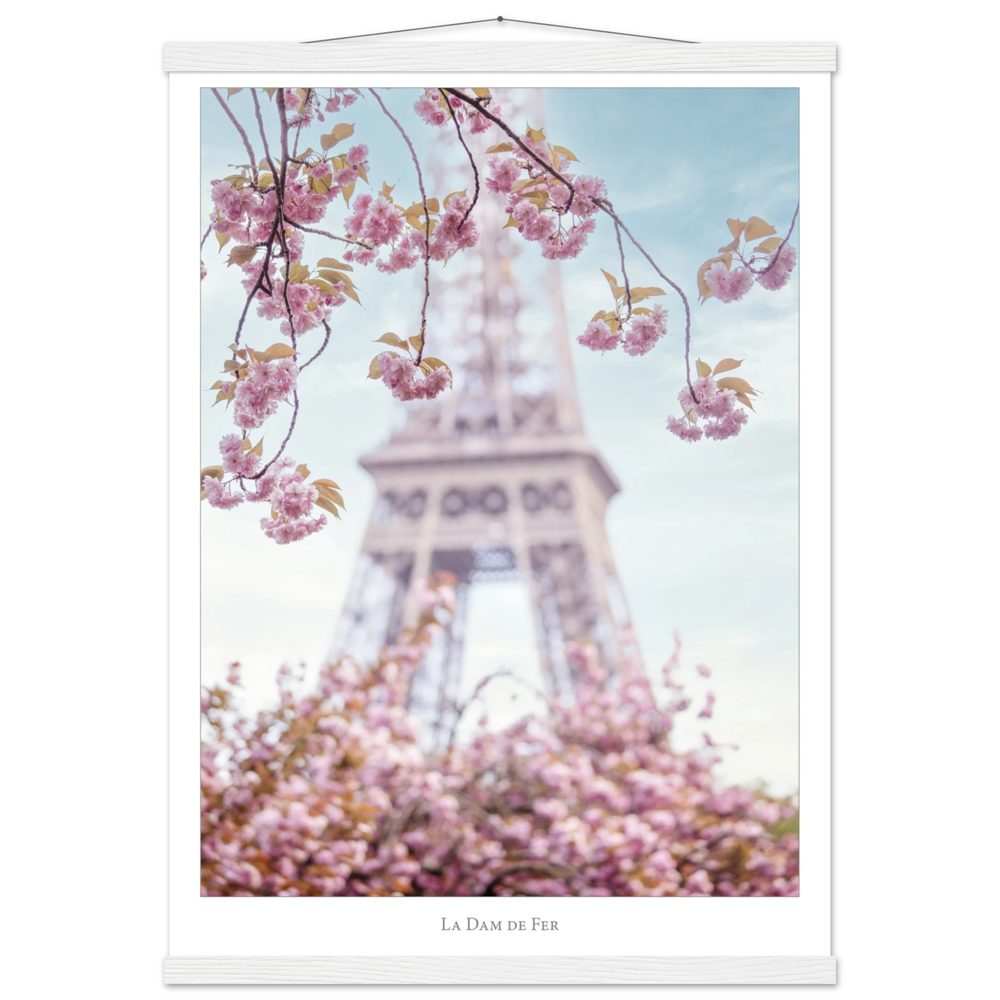 86e36b71-84fa-4892-8193-45b82d3c9c2d