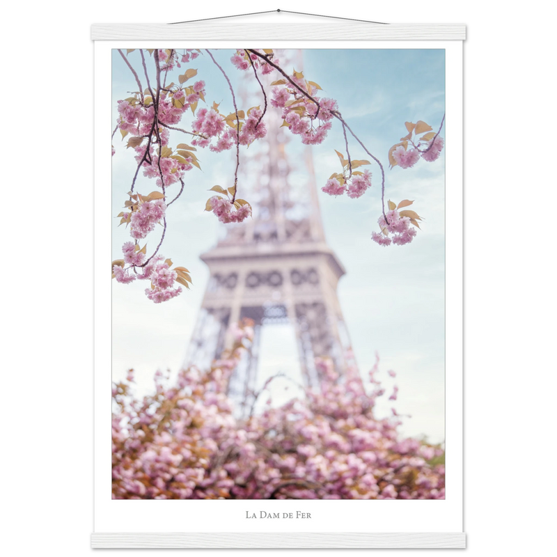 86e36b71-84fa-4892-8193-45b82d3c9c2d