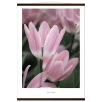 870c6fff-d570-41ee-bdaa-ab3494308a24