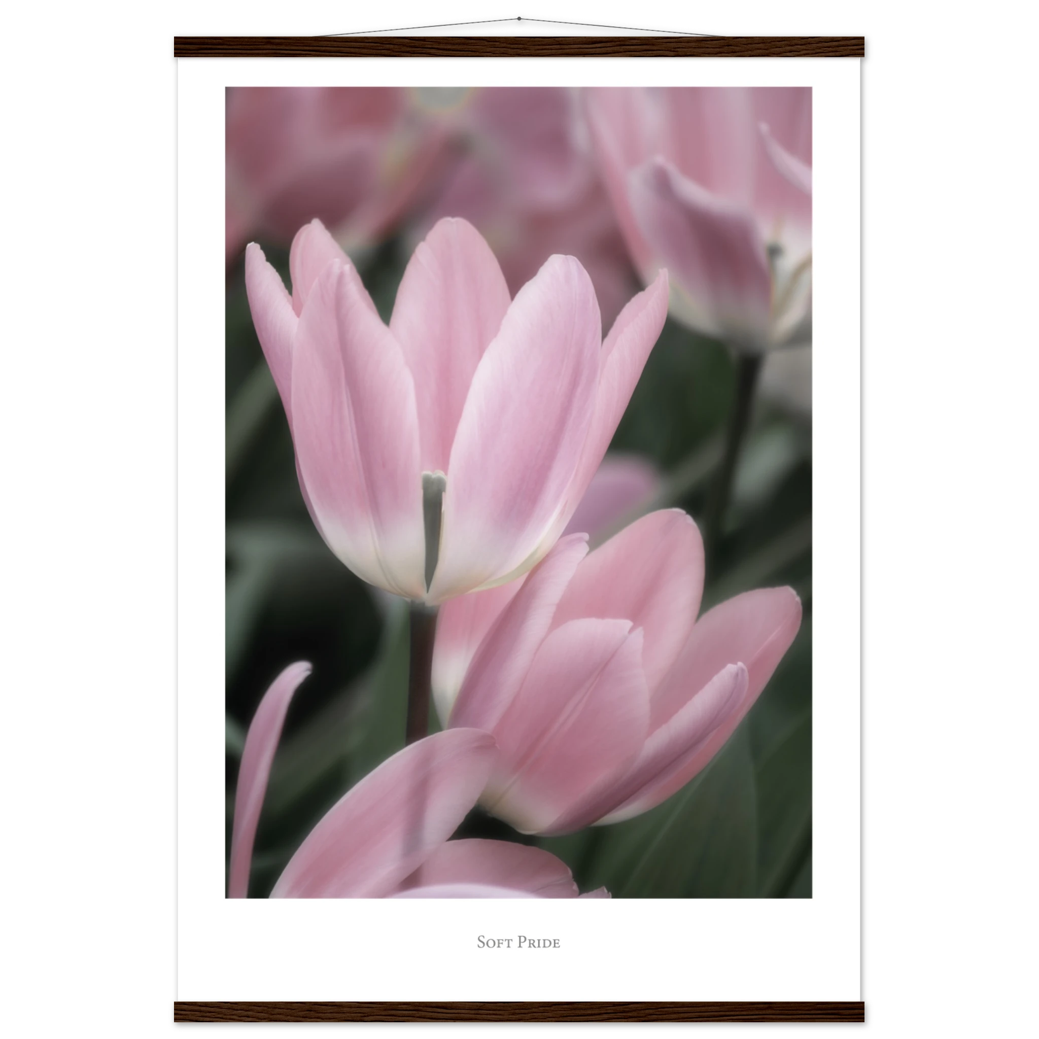 870c6fff-d570-41ee-bdaa-ab3494308a24