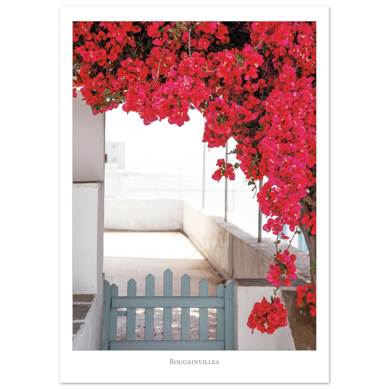 87512865-b38f-4dfa-b66e-195957bed0fa