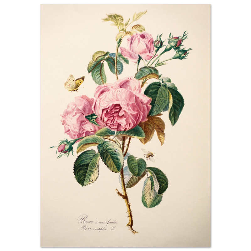 8802c519-fbbe-4795-af7d-09b8ffb0c06e