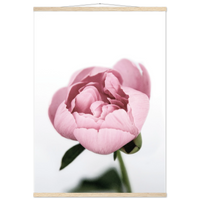 88ebe472-5707-4704-8b67-3fc23c91bb99