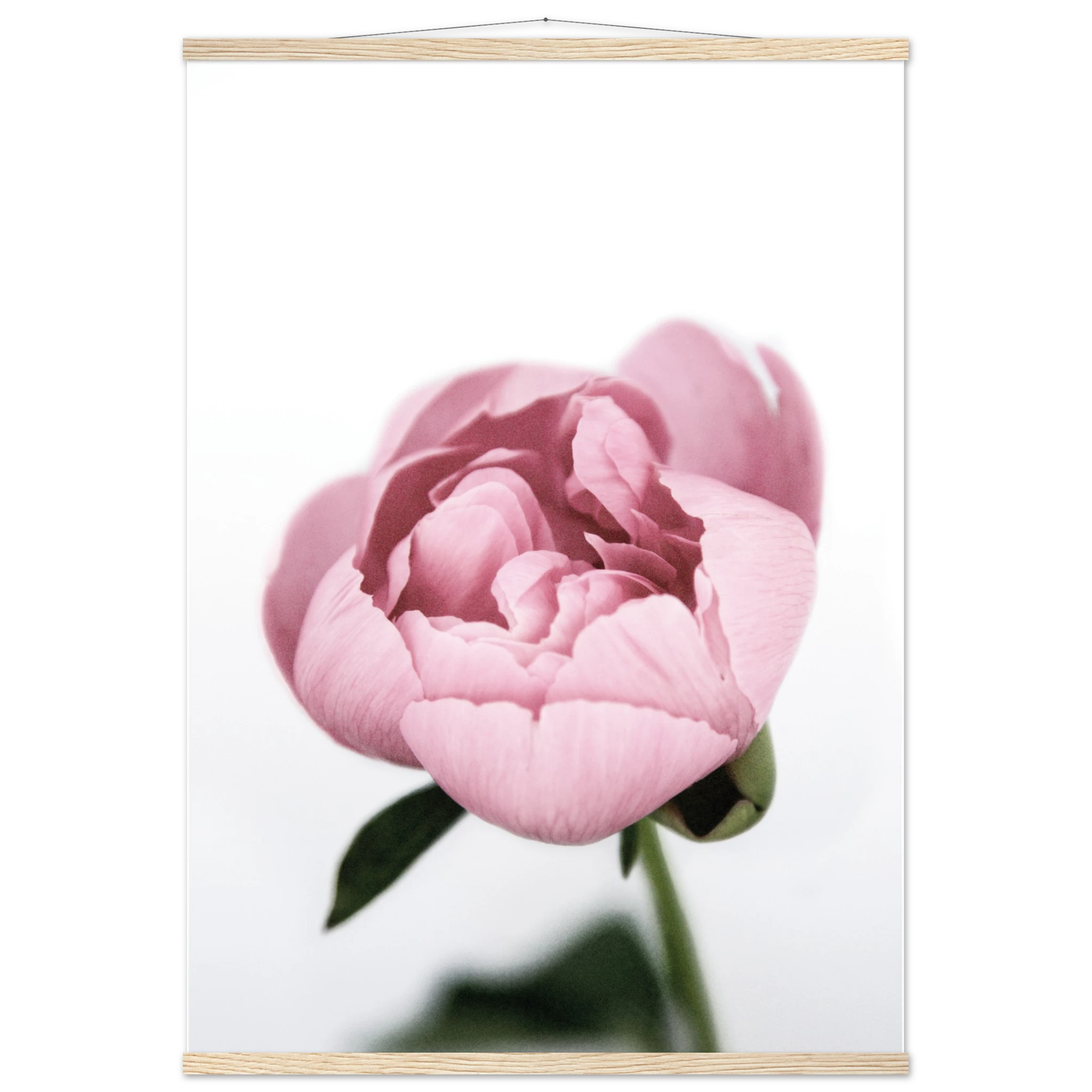 88ebe472-5707-4704-8b67-3fc23c91bb99