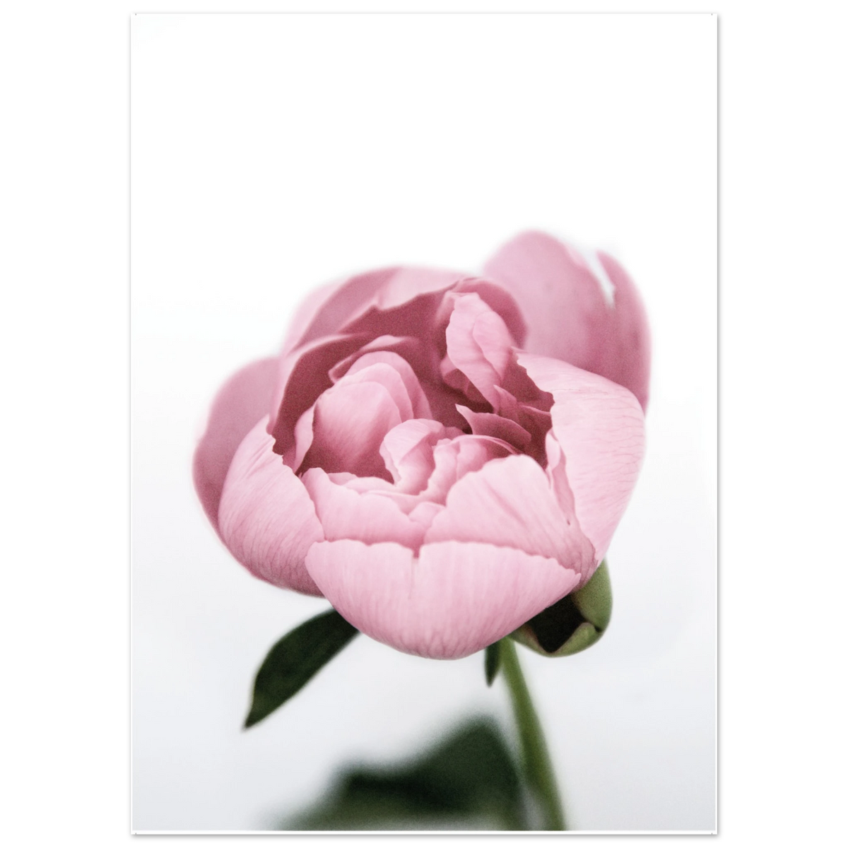 8949706e-c535-48b4-9da2-2f0988ce2aef