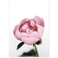 8949706e-c535-48b4-9da2-2f0988ce2aef