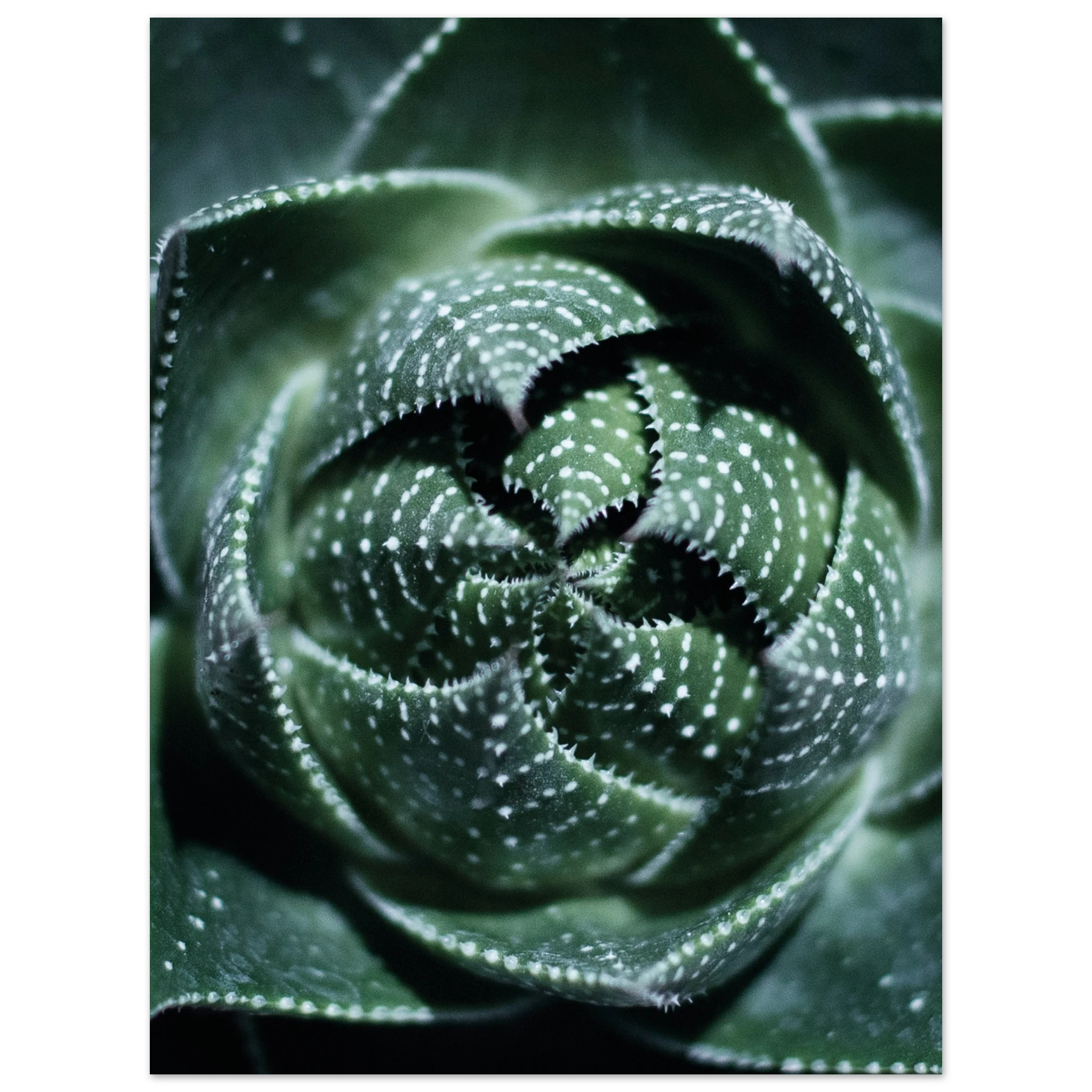 89672b5c-8806-4b72-9958-728cecf1054f