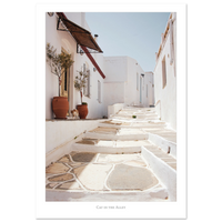 89dde1ff-a91c-4f0d-9261-edbaf95451d6