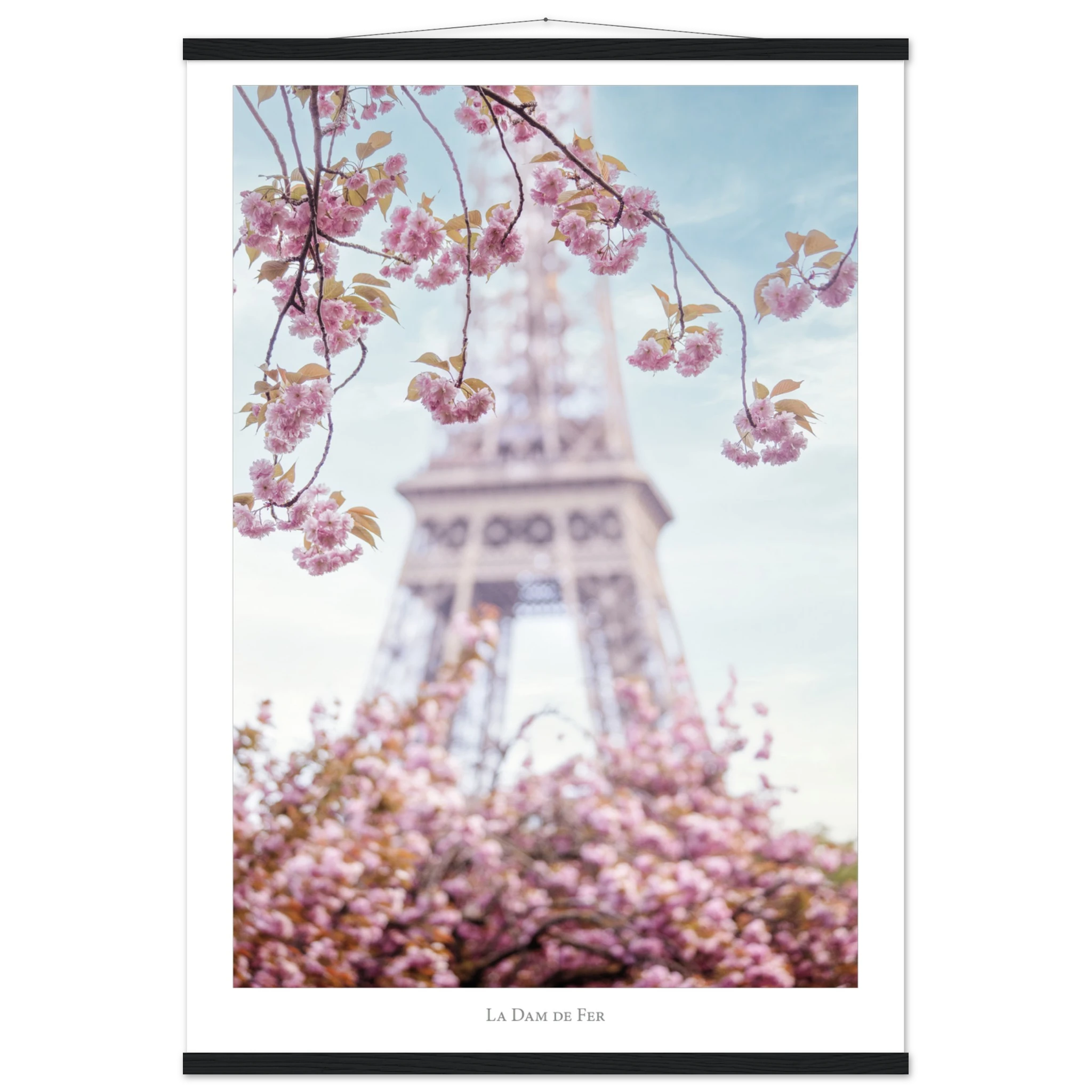 8a9263f5-1d8b-4f2a-8ceb-d573cceb77ed