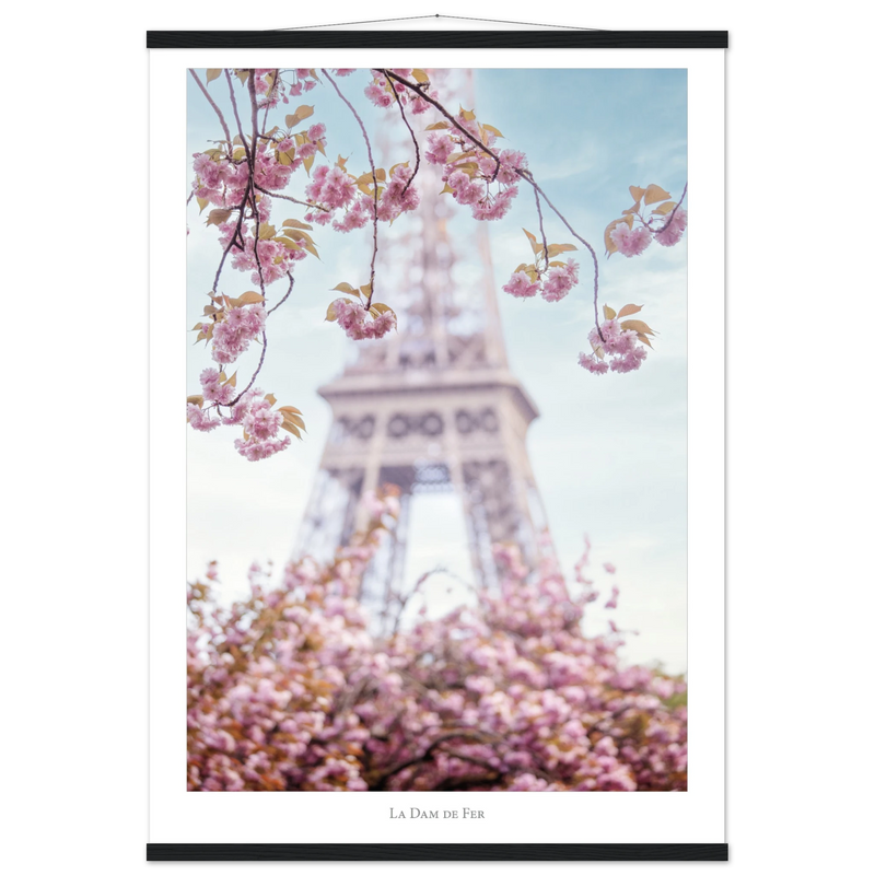 8a9263f5-1d8b-4f2a-8ceb-d573cceb77ed