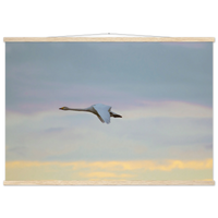 8b4bea40-246a-46c5-a0c3-ea3f9ac01890