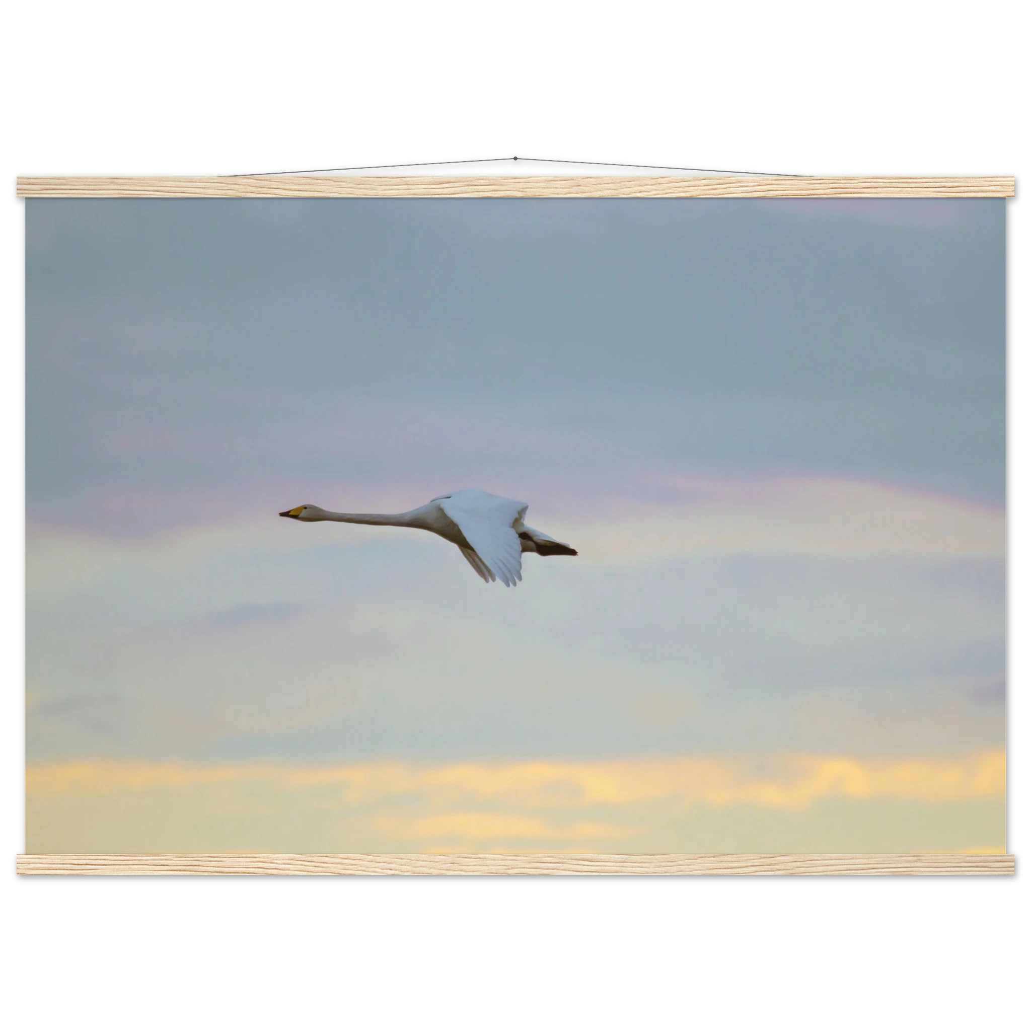 8b4bea40-246a-46c5-a0c3-ea3f9ac01890