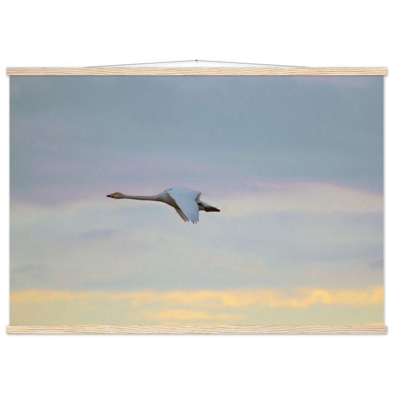 8b4bea40-246a-46c5-a0c3-ea3f9ac01890