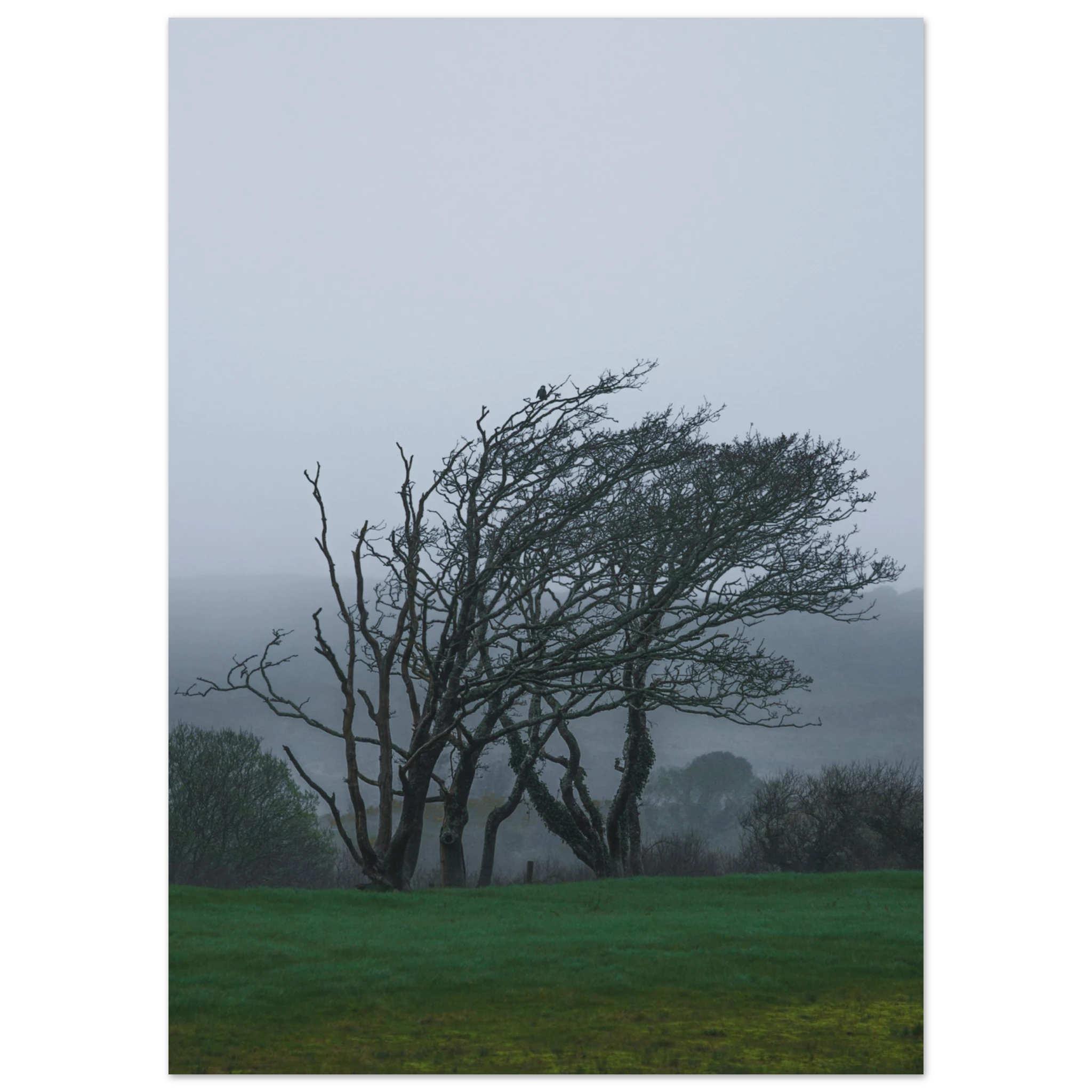 8ba938e1-3325-4baa-971f-ad319c73905c