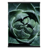8c0afe15-cc81-4b4b-a32c-b4d48abee911