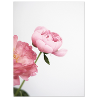 8c12e933-f9ee-43c3-928c-f91f6ee5acd2