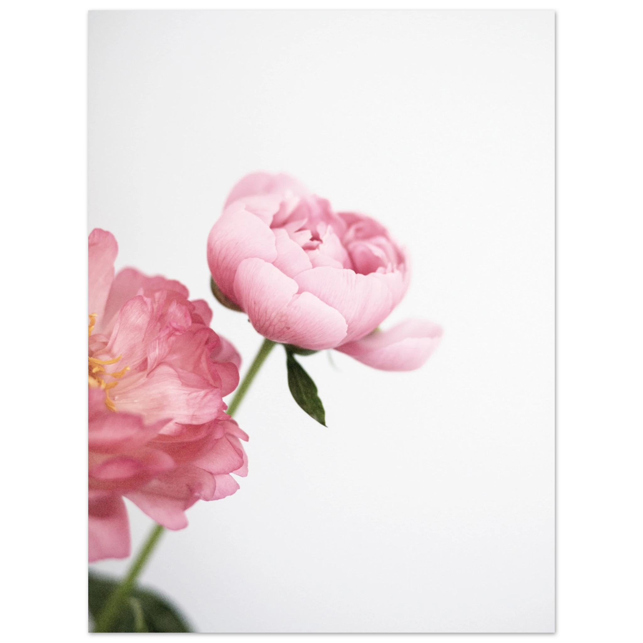 8c12e933-f9ee-43c3-928c-f91f6ee5acd2