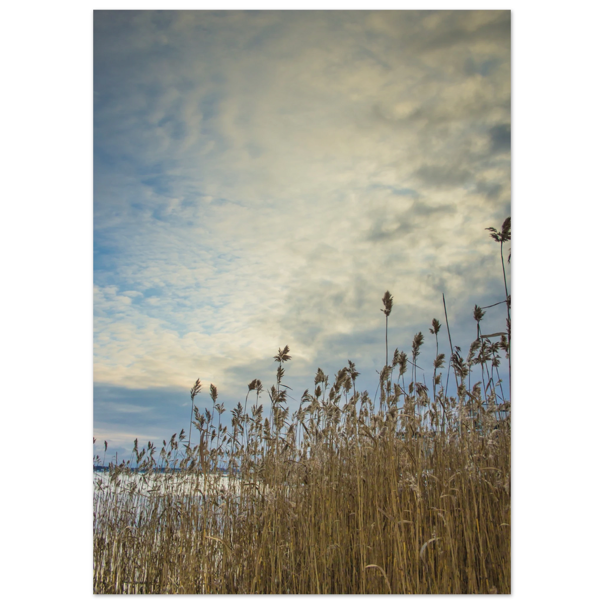 8c1da417-bc27-4aca-ba54-5e3810af905e