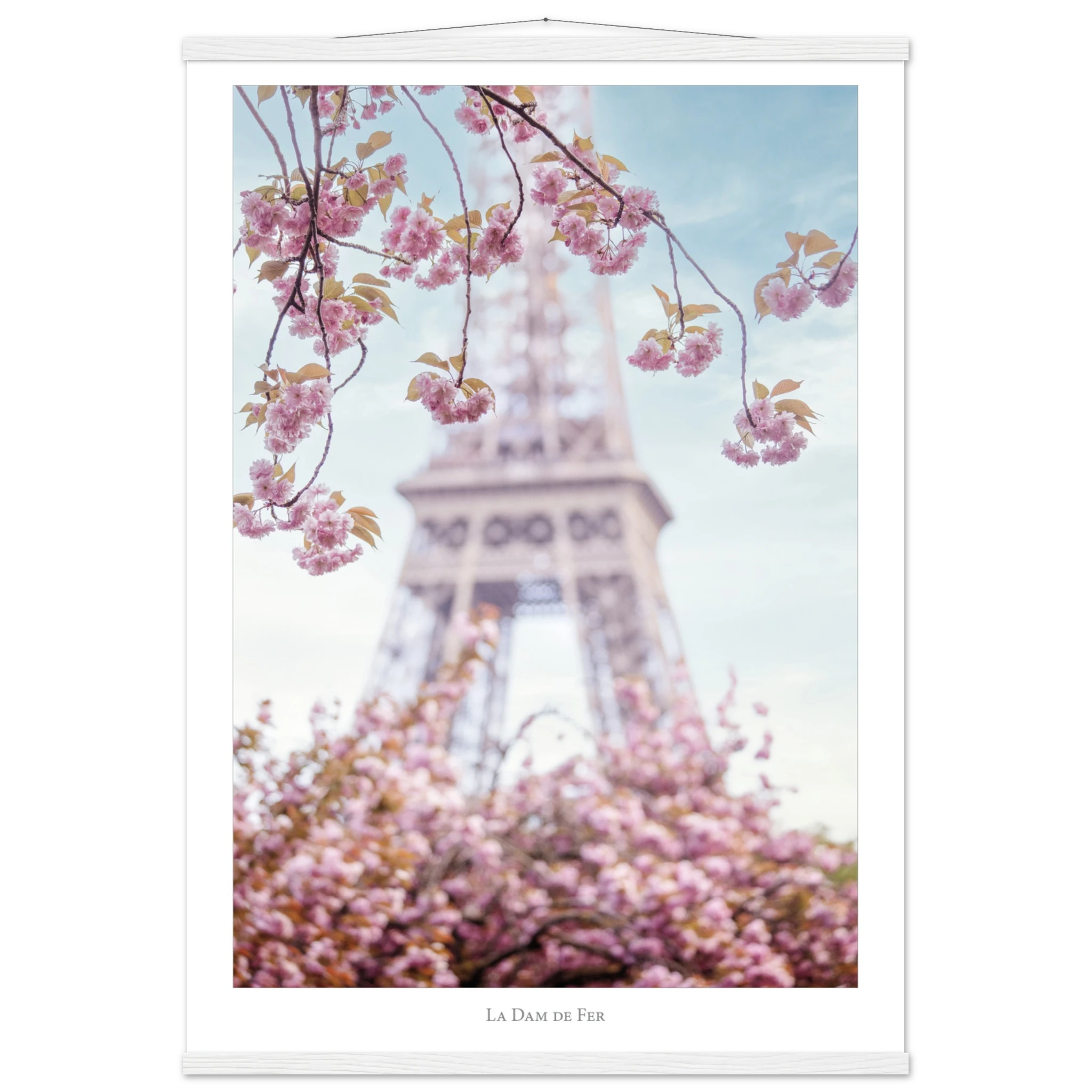 8d08b9af-282e-4ec2-93a8-cddb21040834