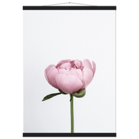 8d485373-5668-4528-a941-6b9286dac487