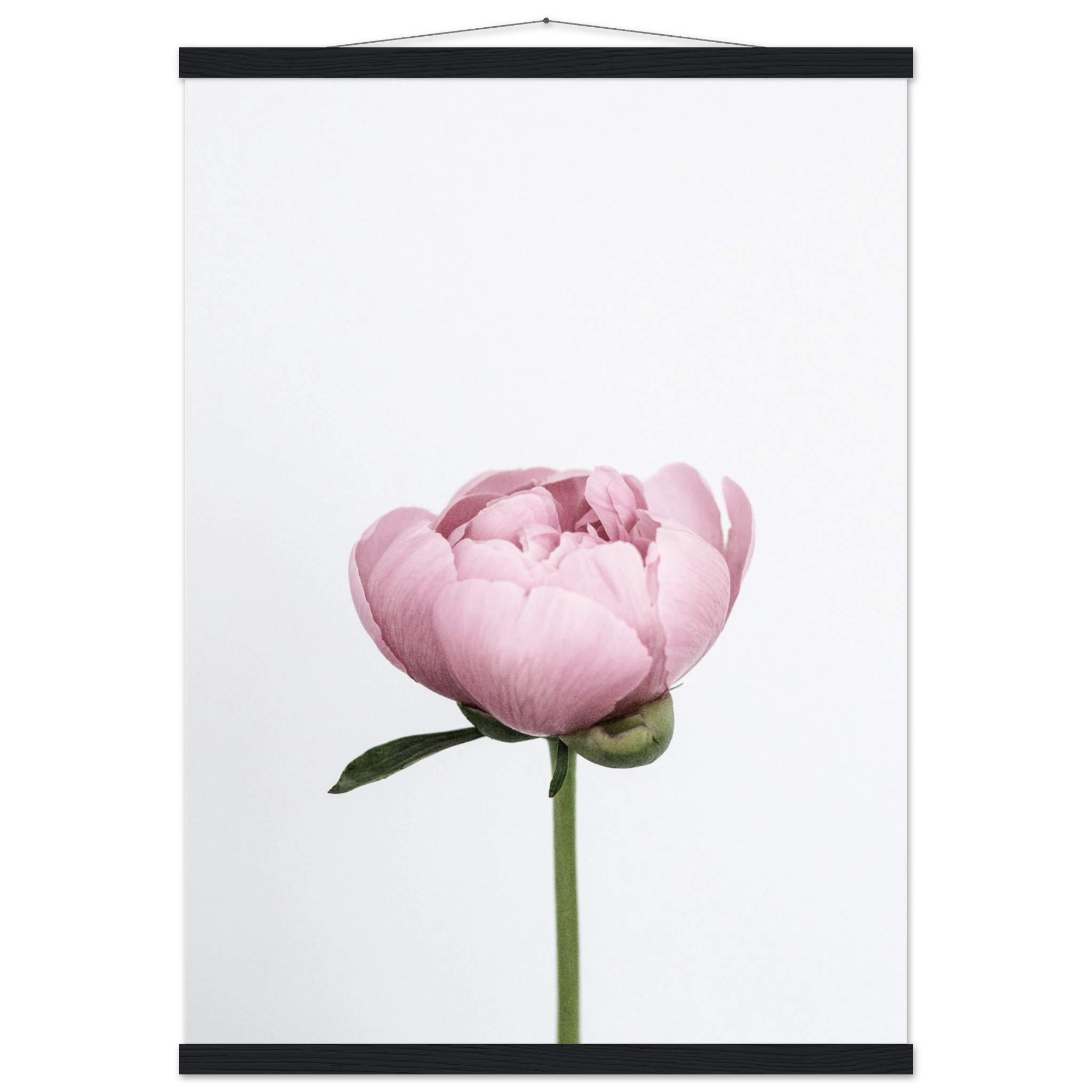 8d485373-5668-4528-a941-6b9286dac487