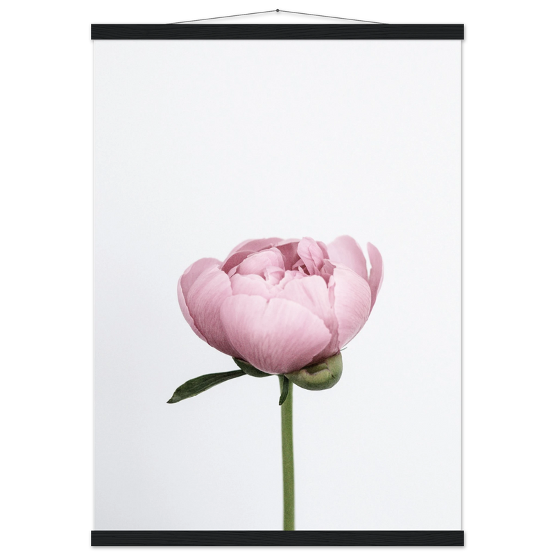 8d485373-5668-4528-a941-6b9286dac487