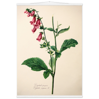 8e12ae90-e0e4-48f9-9253-70d16798cf22