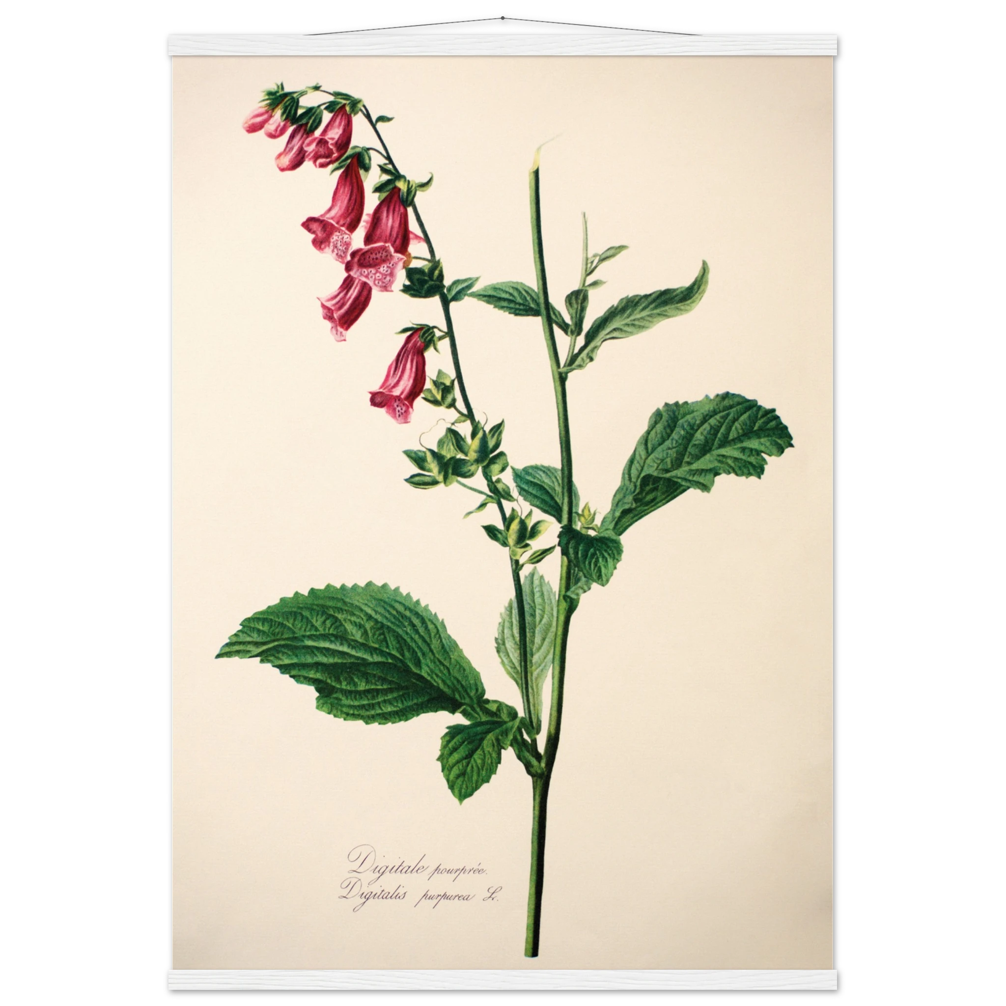 8e12ae90-e0e4-48f9-9253-70d16798cf22