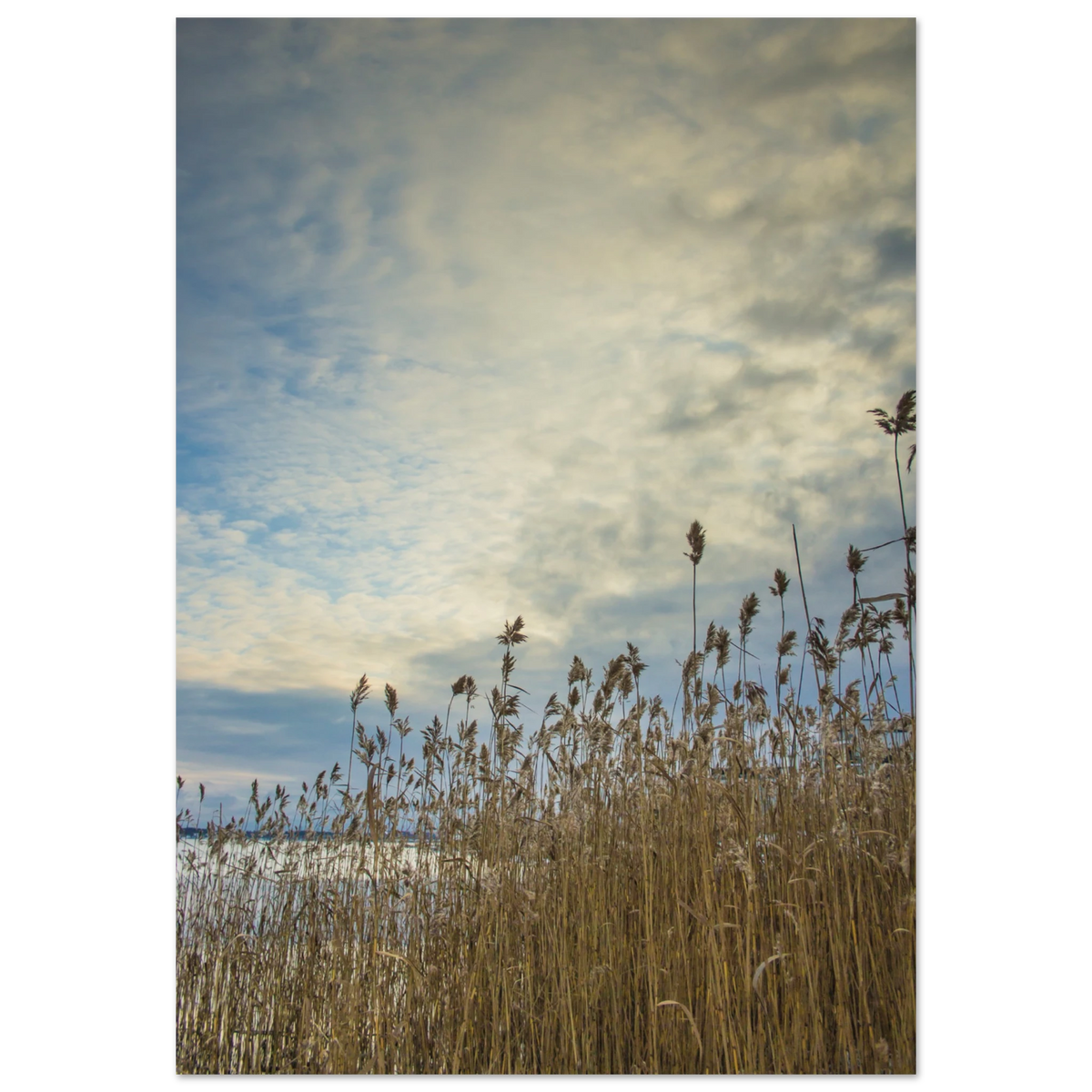 8e1af5e7-dead-4f31-b75b-ef5324fda5c7