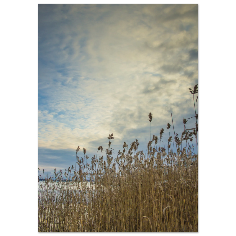 8e1af5e7-dead-4f31-b75b-ef5324fda5c7