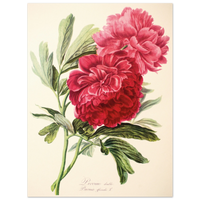 8e270d1b-8904-4587-8612-06e3ef42797c