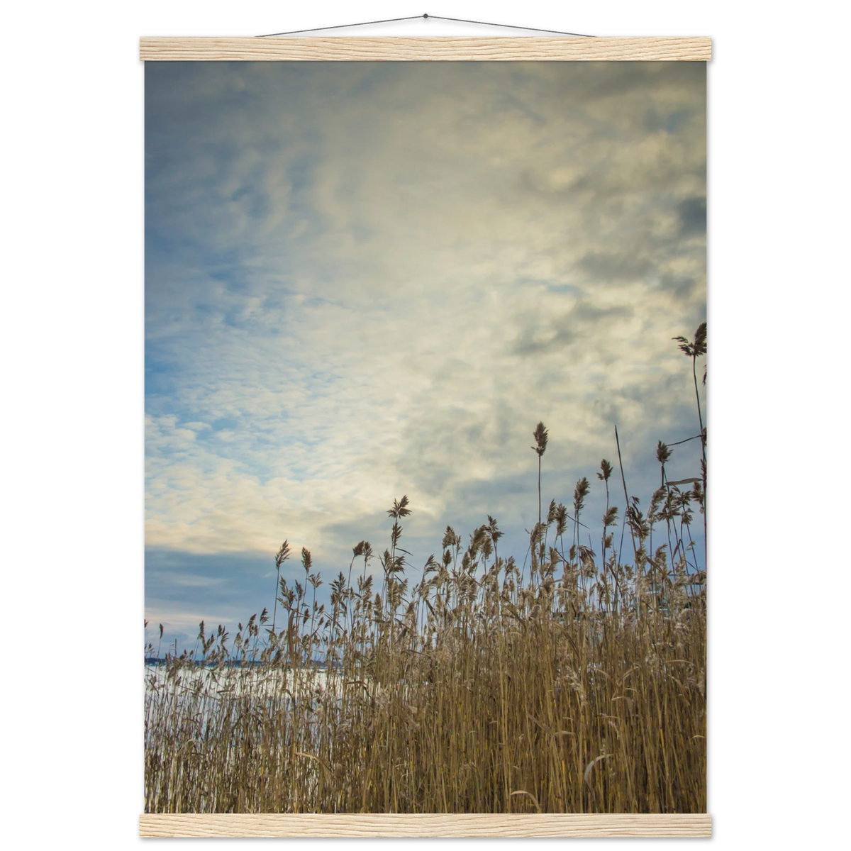 8f02f6de-d098-4e87-bc91-bdae9ddbba0d