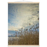 8f02f6de-d098-4e87-bc91-bdae9ddbba0d